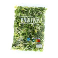 Andijvie grof